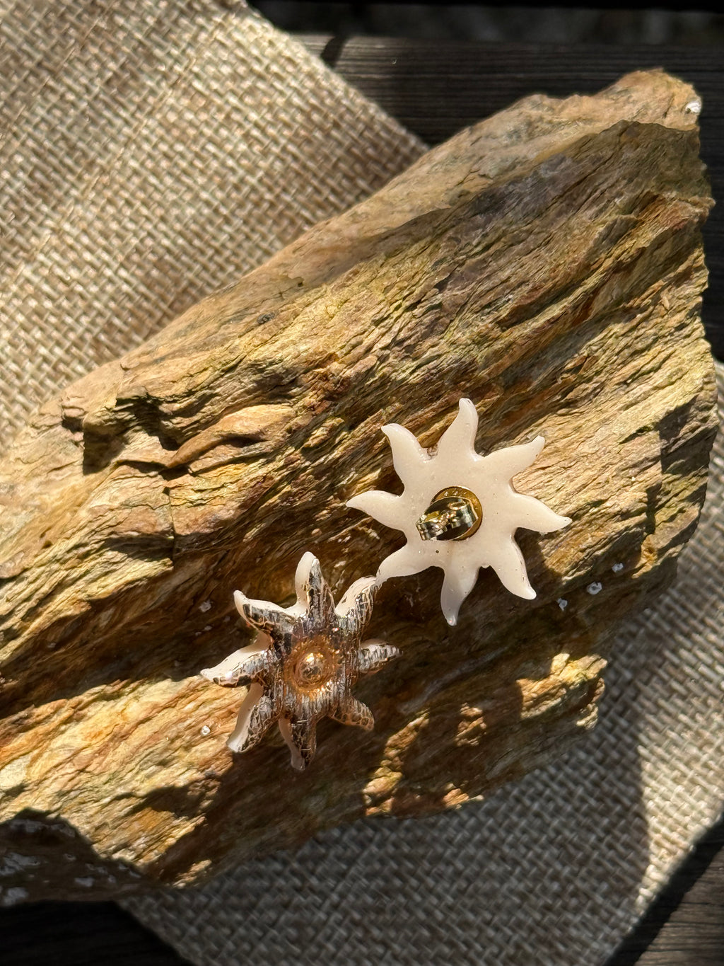 Puces d’oreilles Sunshine
