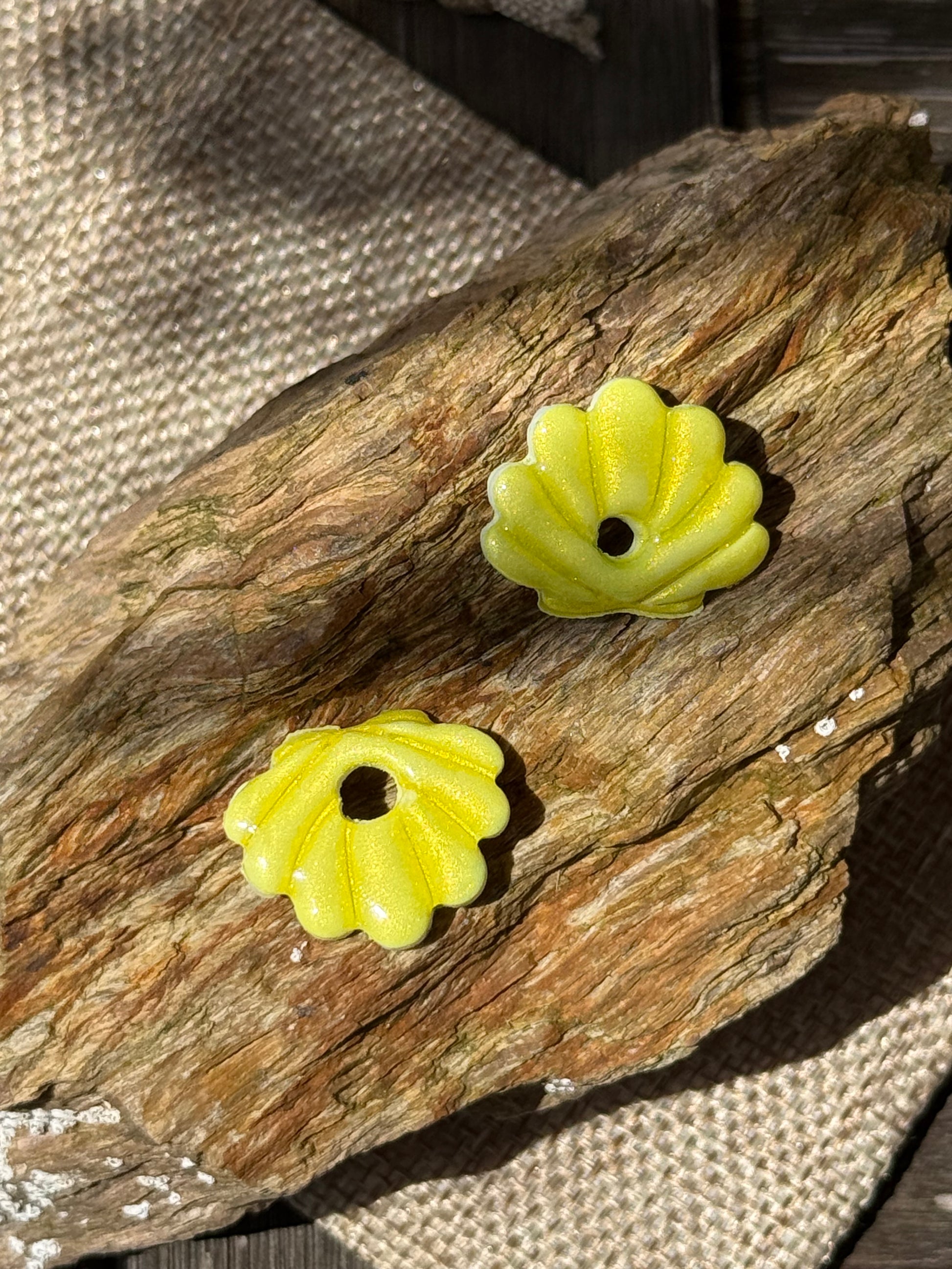 Shell