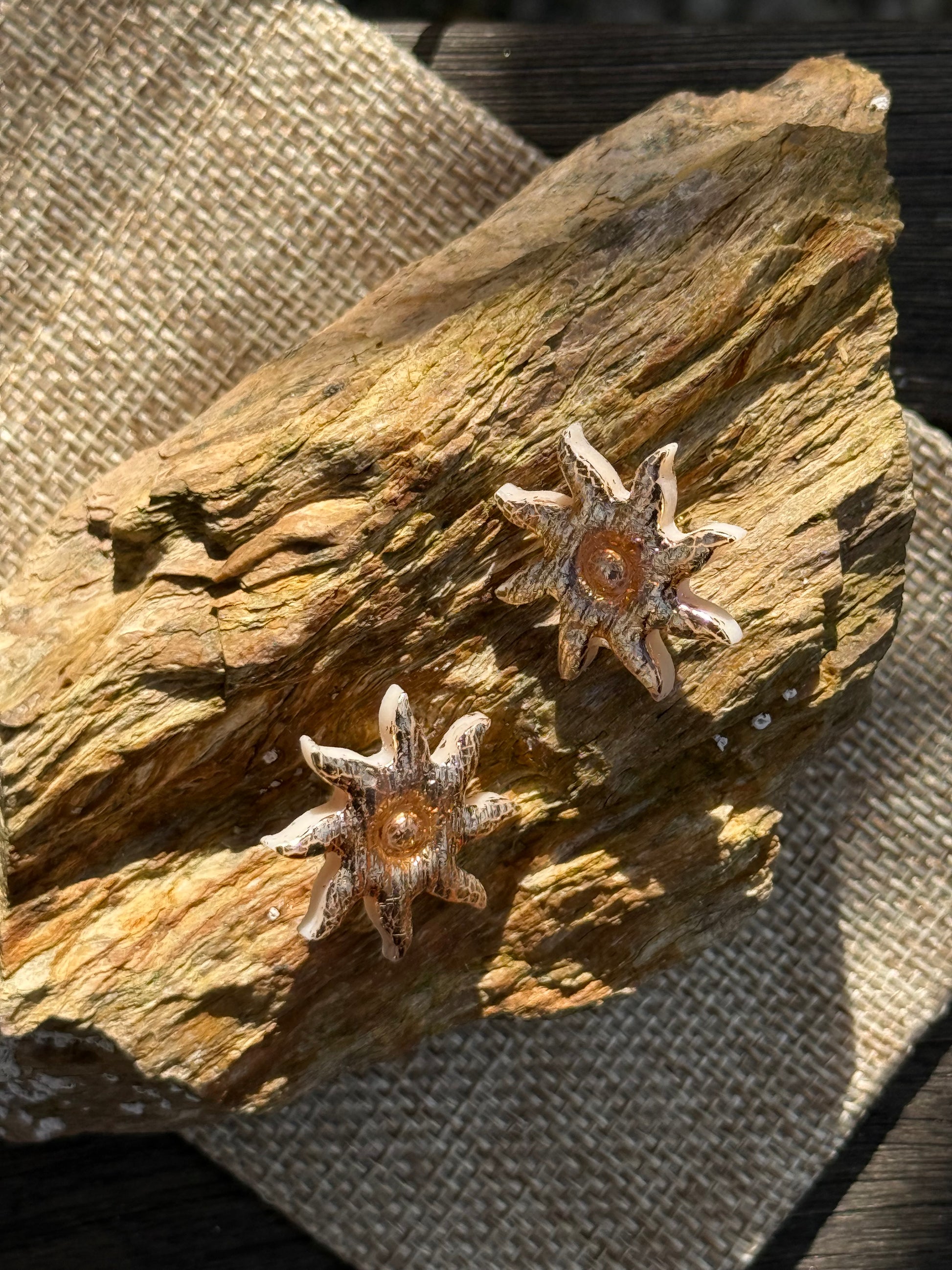 Puces d’oreilles Sunshine